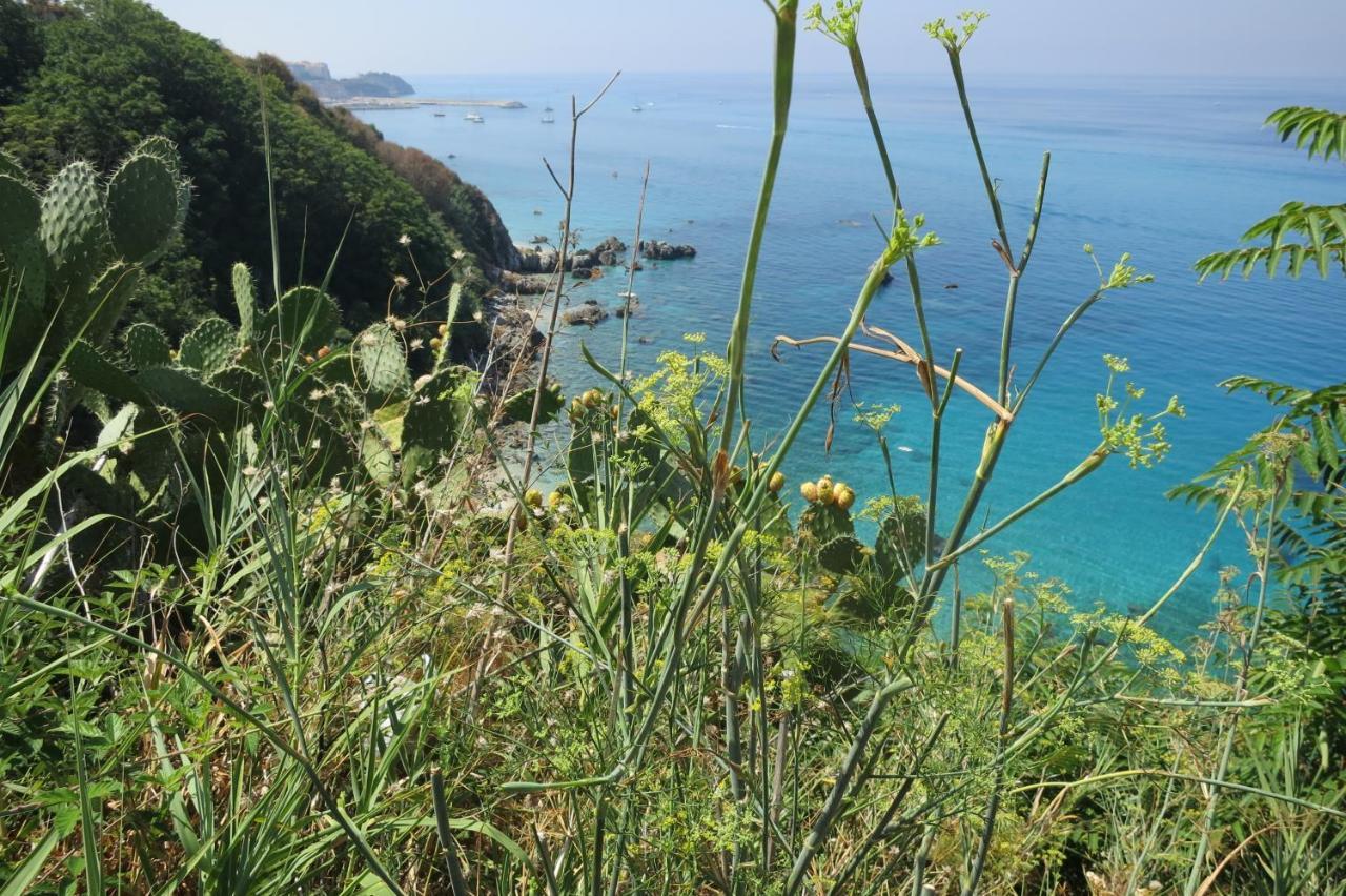 Il Limoneto 2, Casa Vacanze Parghelia-Tropea Leilighet Eksteriør bilde